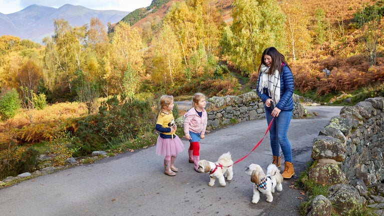 Mother and daughters walking their two small dogs down a path in Borrowdale with the autumn coloured hills in the background